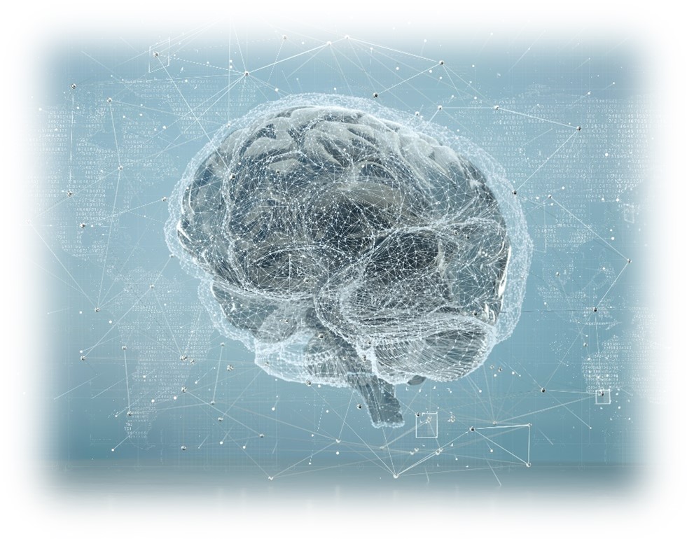 brain
